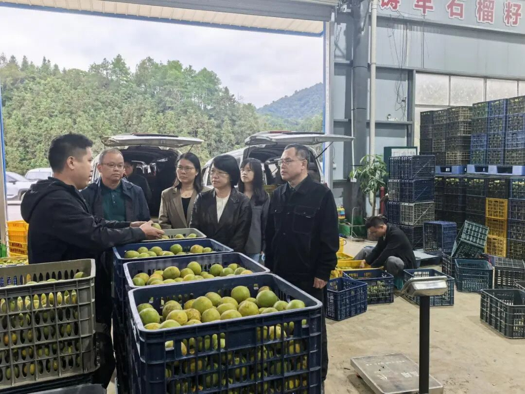 图片3(1).png